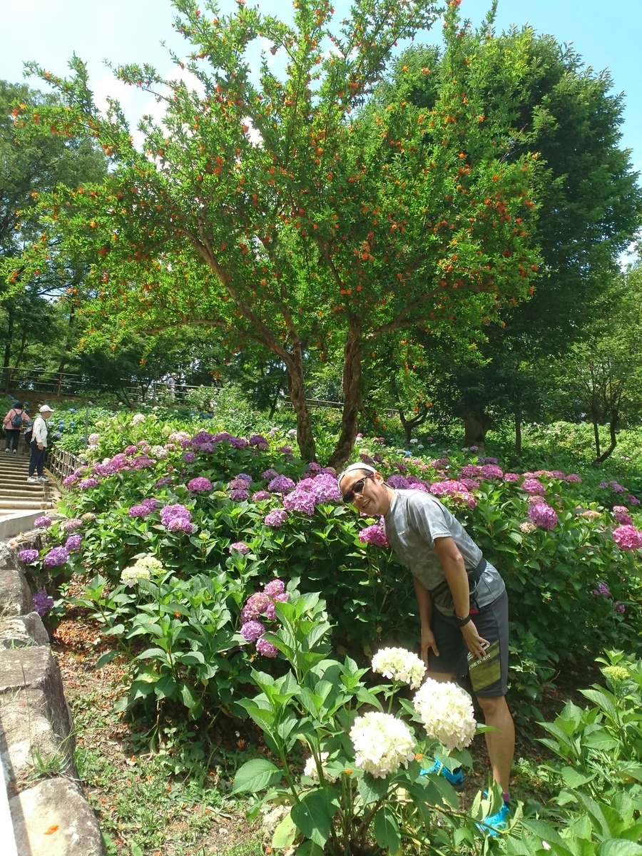 f:id:GEKITINTASUKU2:20190612133509j:plain