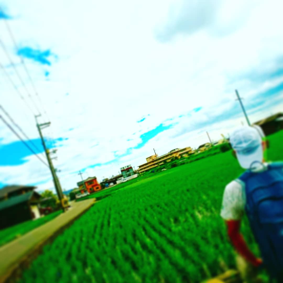 f:id:GEKITINTASUKU2:20190706191603j:plain f:id:GEKITINTASUKU2:20190706191603j:plain