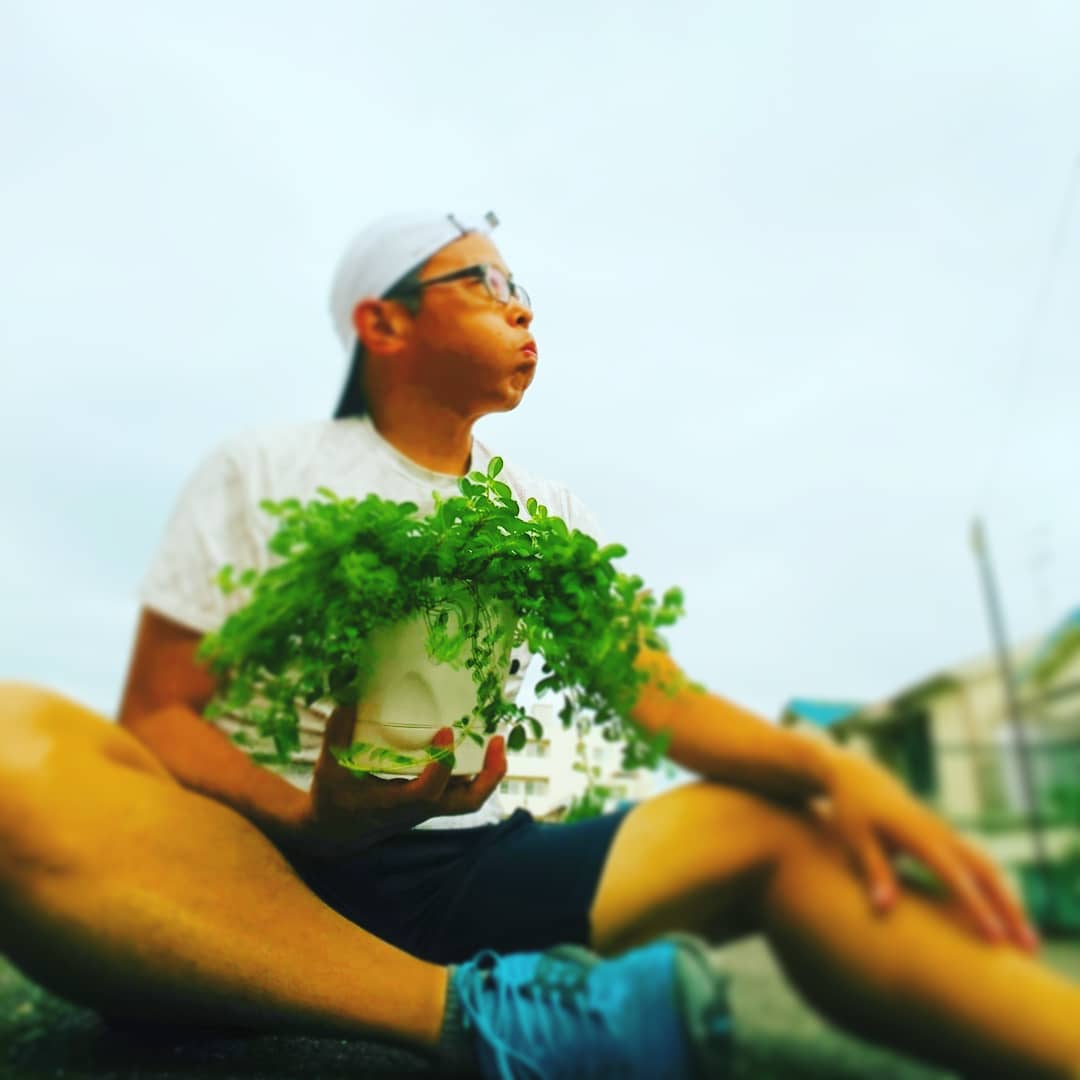 f:id:GEKITINTASUKU2:20190710201931j:plain f:id:GEKITINTASUKU2:20190710201931j:plain