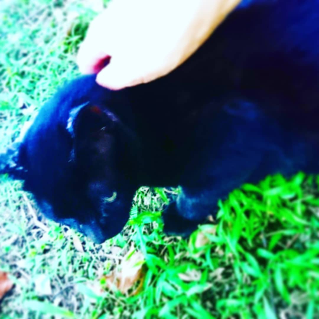 f:id:GEKITINTASUKU2:20190710202033j:plain f:id:GEKITINTASUKU2:20190710202033j:plain