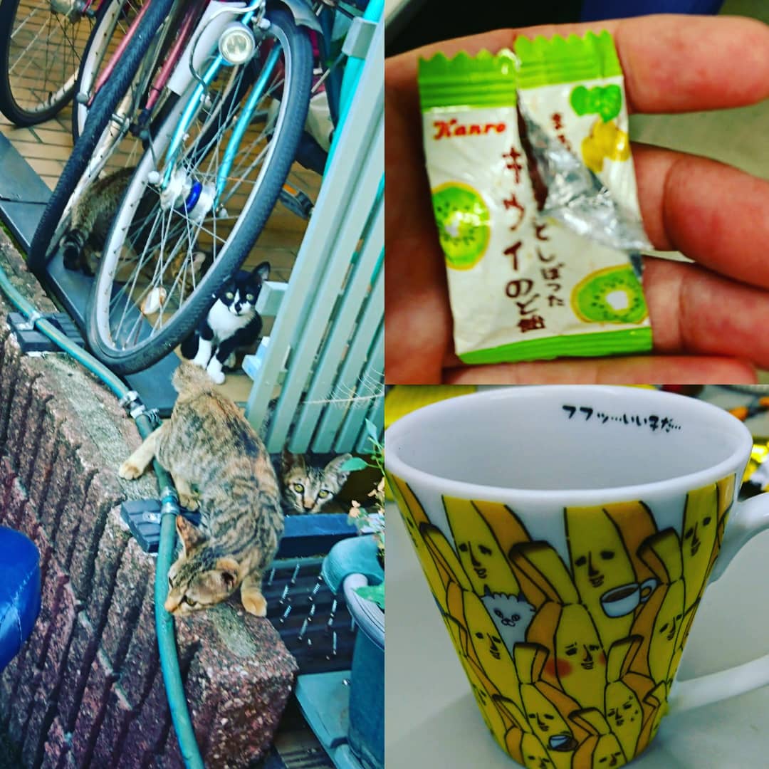 f:id:GEKITINTASUKU2:20190906212547j:plain f:id:GEKITINTASUKU2:20190906212547j:plain