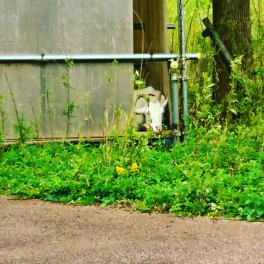 f:id:GEKITINTASUKU2:20191014130128j:plain f:id:GEKITINTASUKU2:20191014130128j:plain