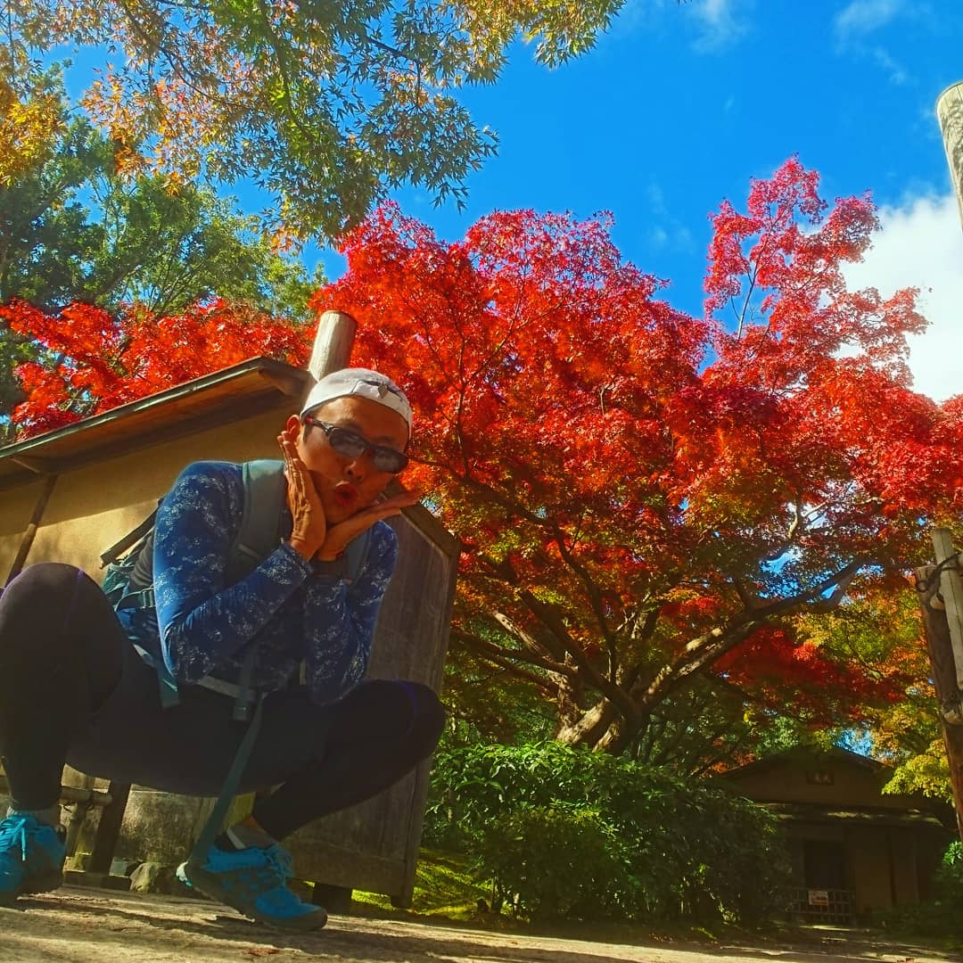f:id:GEKITINTASUKU2:20191115173557j:plain f:id:GEKITINTASUKU2:20191115173557j:plain