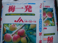 梅一発