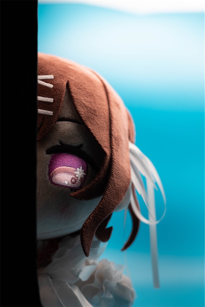 f:id:GH325084:20250408062419j:image