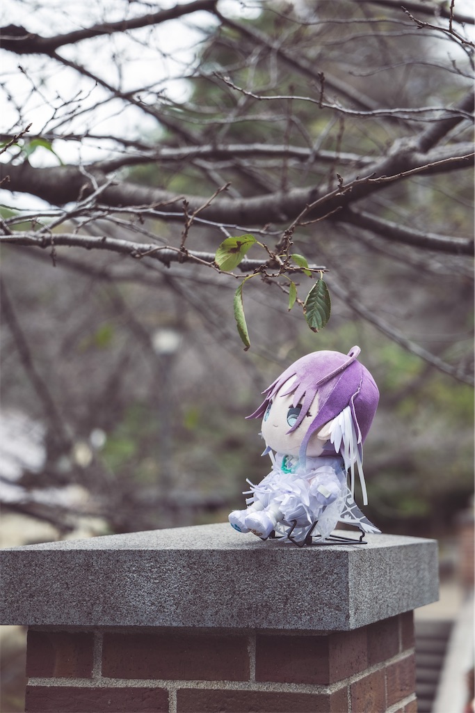 f:id:GH325084:20250409194514j:image