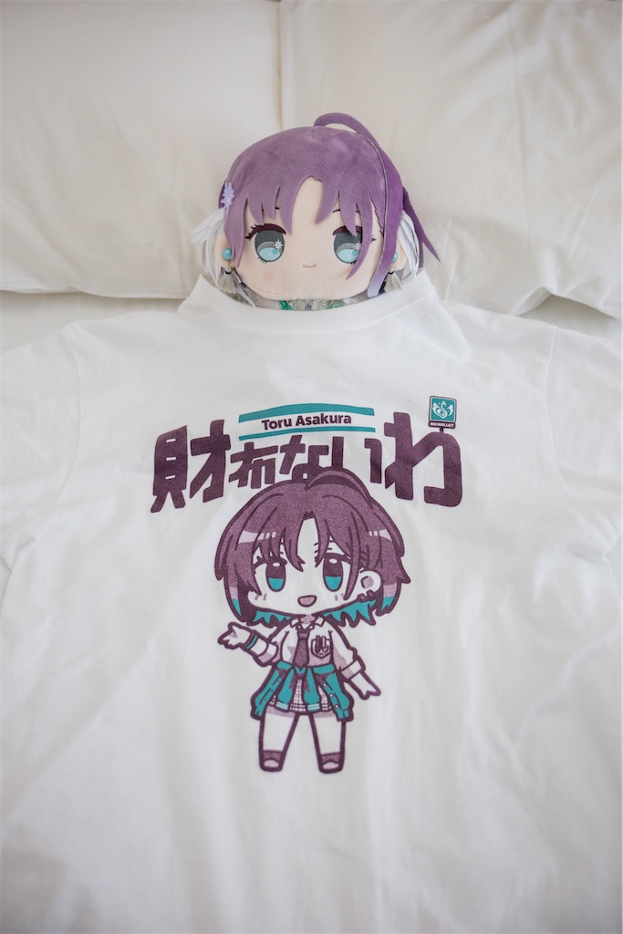 f:id:GH325084:20250413214459j:image