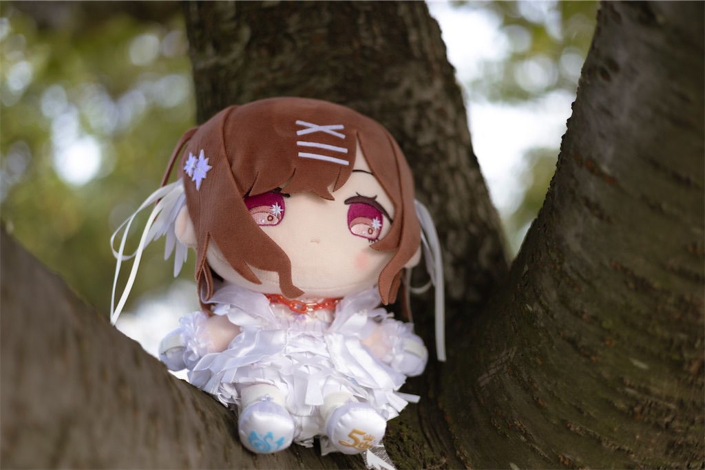 f:id:GH325084:20250413215013j:image