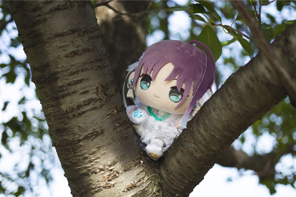 f:id:GH325084:20250413215048j:image