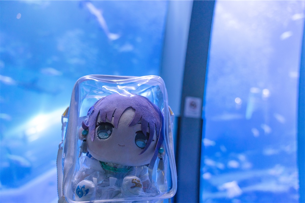 f:id:GH325084:20250413215312j:image