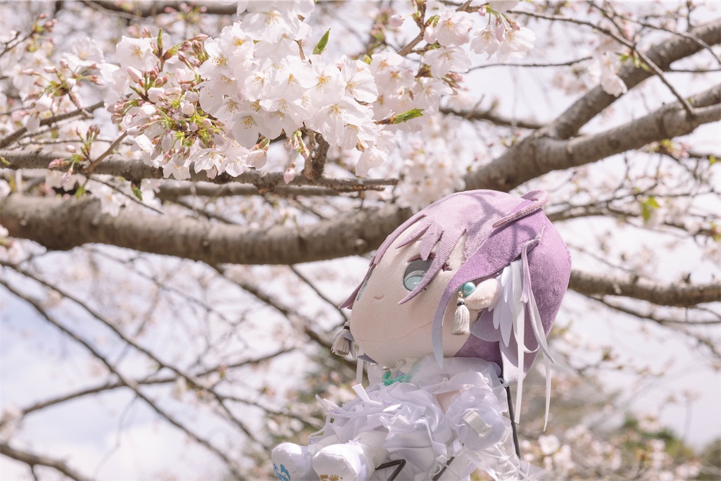f:id:GH325084:20250413220412j:image