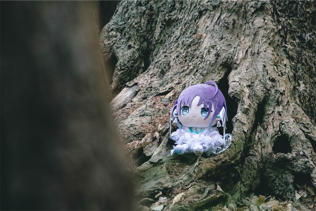 f:id:GH325084:20250413220416j:image