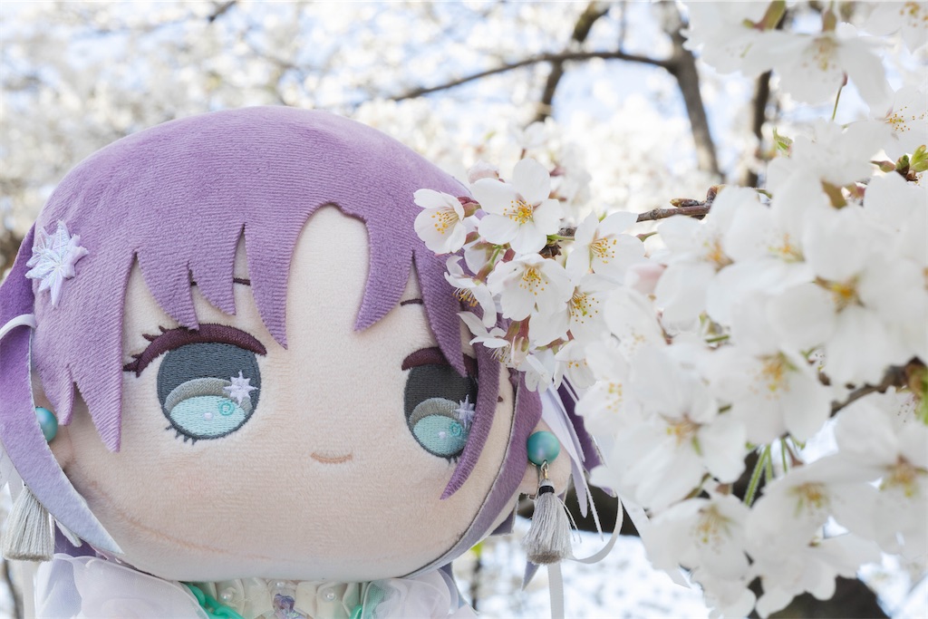 f:id:GH325084:20250413220432j:image