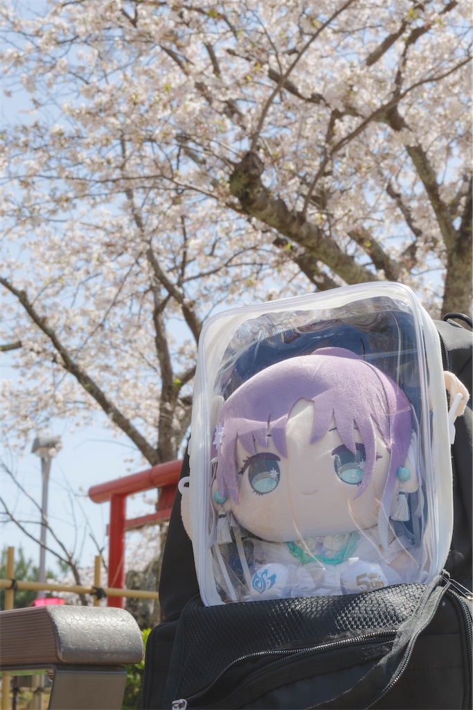 f:id:GH325084:20250413220439j:image