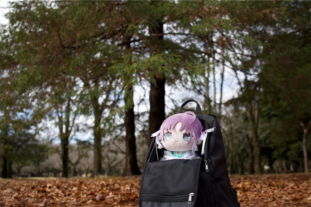 f:id:GH325084:20250417182425j:image