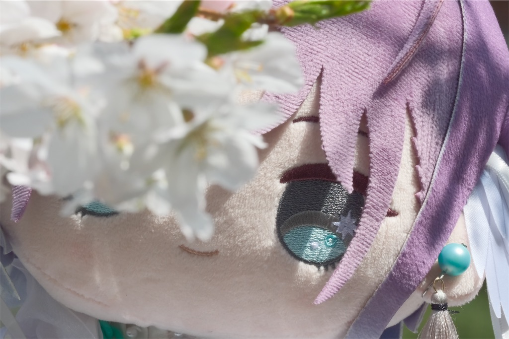 f:id:GH325084:20250417202124j:image