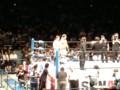 プロレス