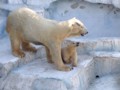 動物園