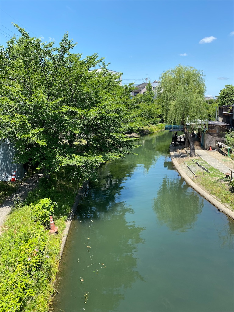 f:id:GITTAN:20220606161338j:image