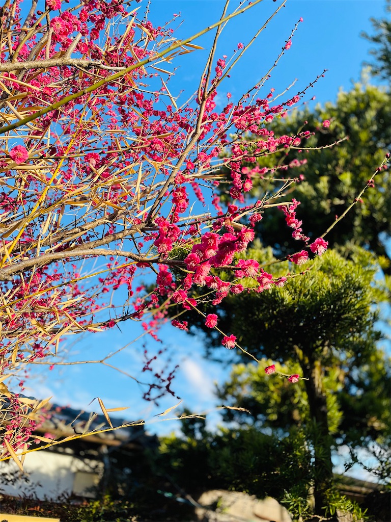 f:id:GITTAN:20240227084347j:image f:id:GITTAN:20240227084347j:image