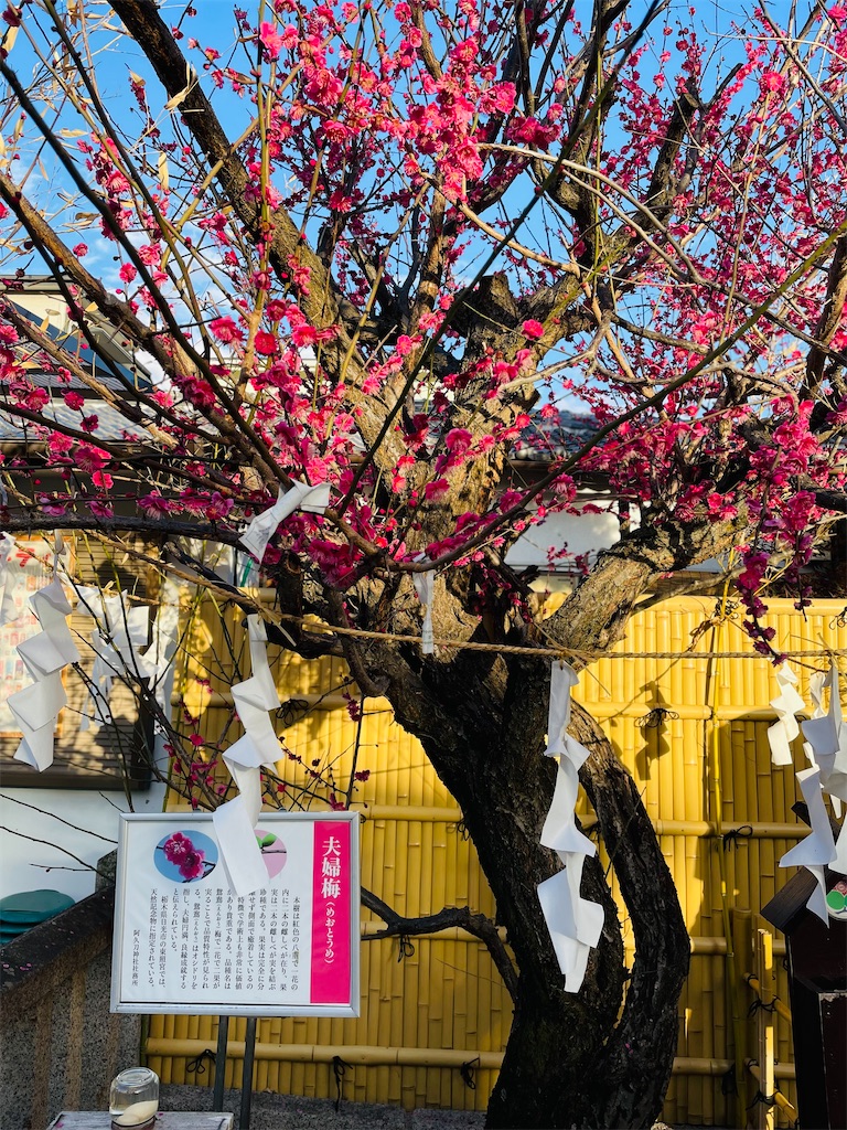 f:id:GITTAN:20240227084440j:image f:id:GITTAN:20240227084440j:image