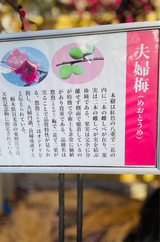 f:id:GITTAN:20240227085756j:image f:id:GITTAN:20240227085756j:image