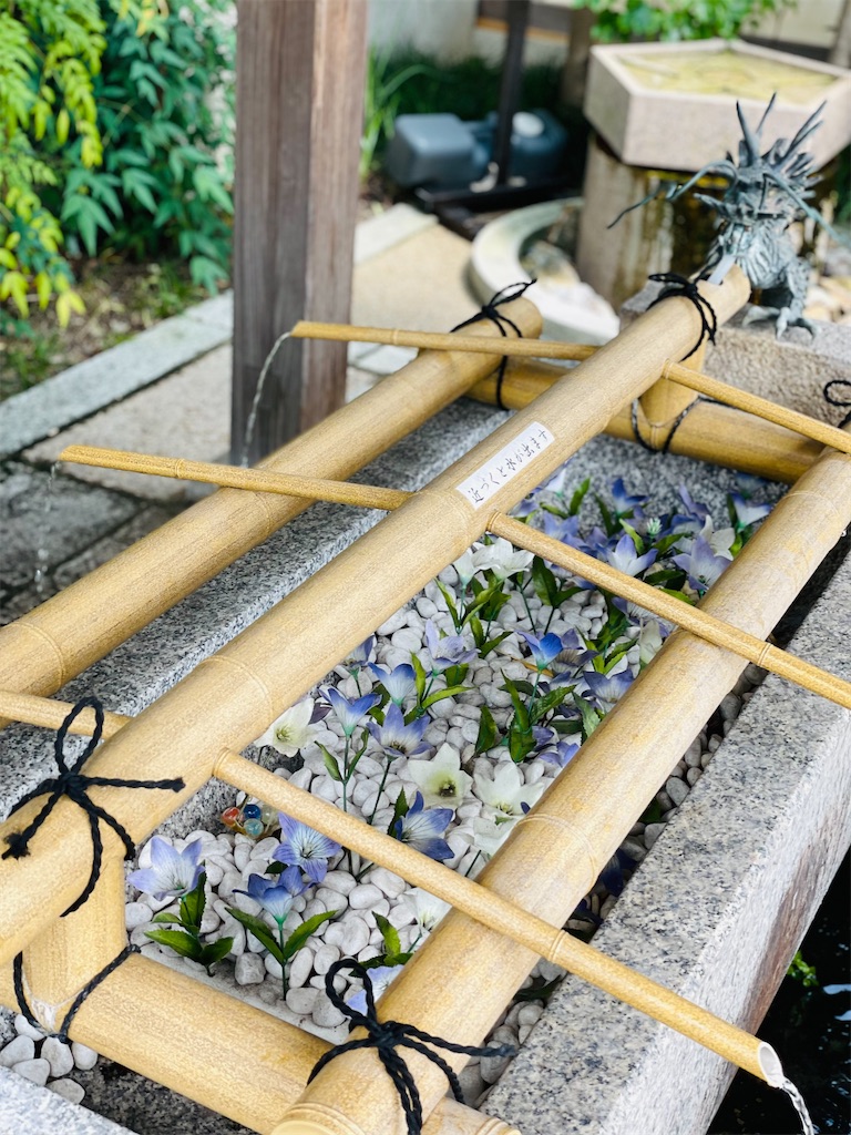 f:id:GITTAN:20240911080319j:image