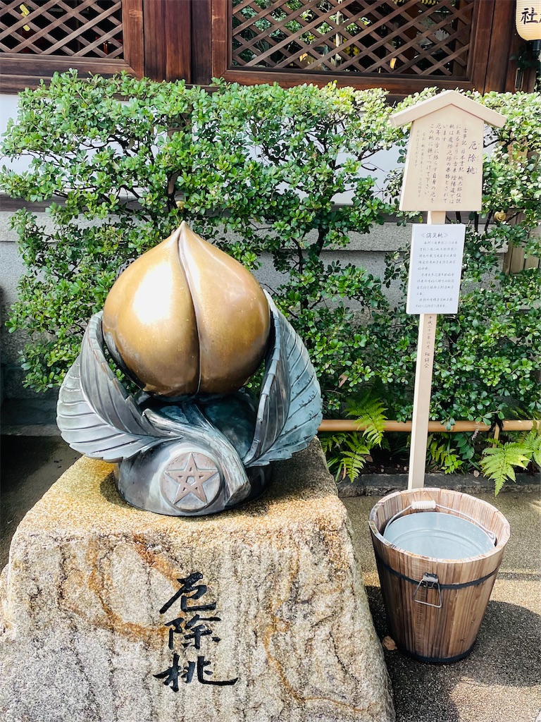 f:id:GITTAN:20240911080353j:image