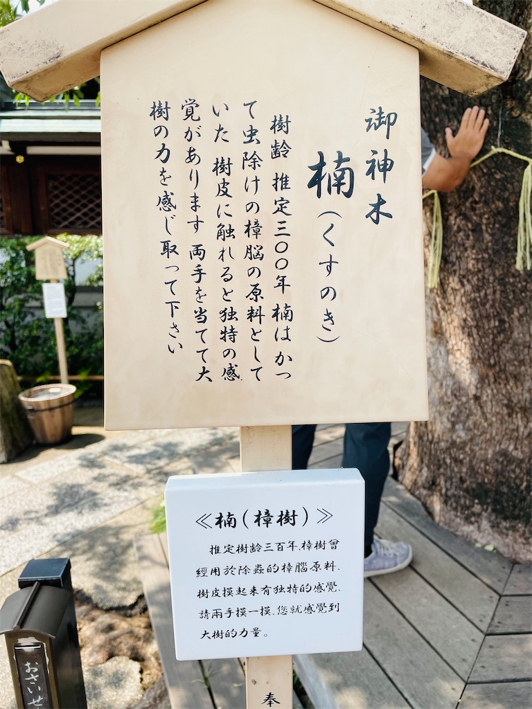 f:id:GITTAN:20240911080404j:image