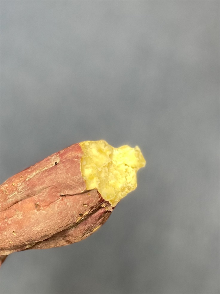 f:id:GITTAN:20241025113630j:image f:id:GITTAN:20241025113630j:image