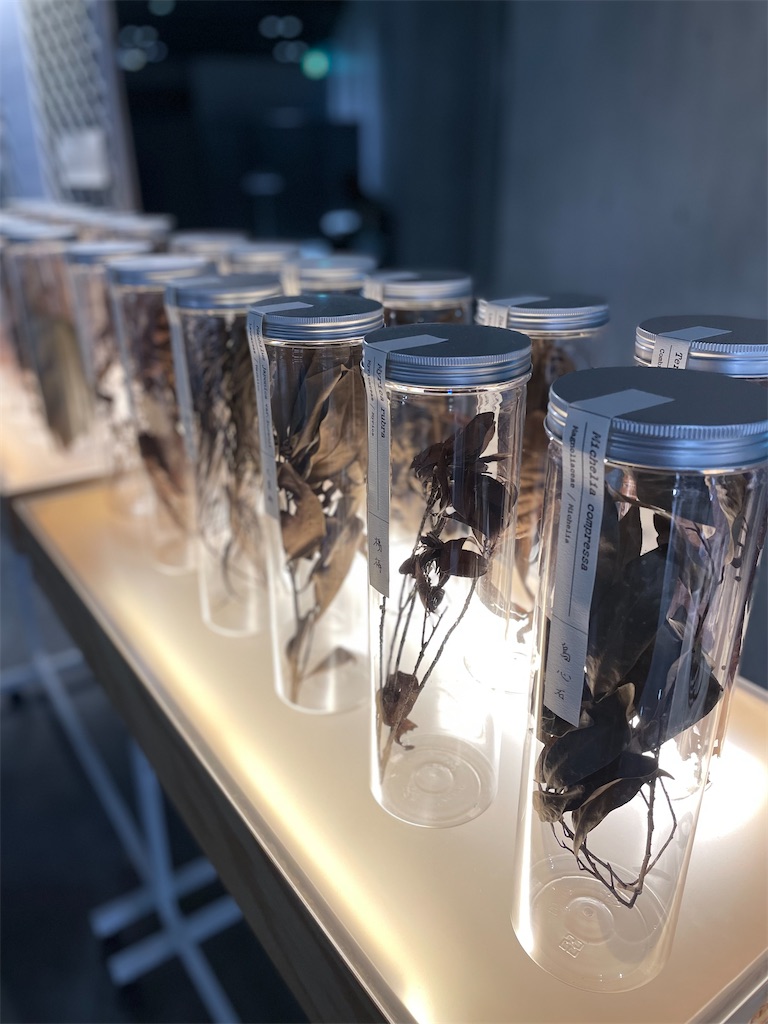 f:id:GITTAN:20250826110106j:image f:id:GITTAN:20250826110106j:image