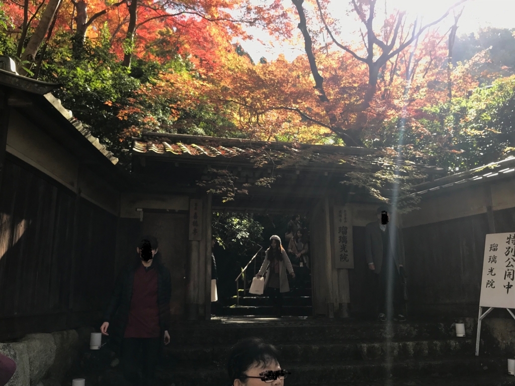 f:id:GK_GK21:20171122223606j:plain f:id:GK_GK21:20171122223606j:plain