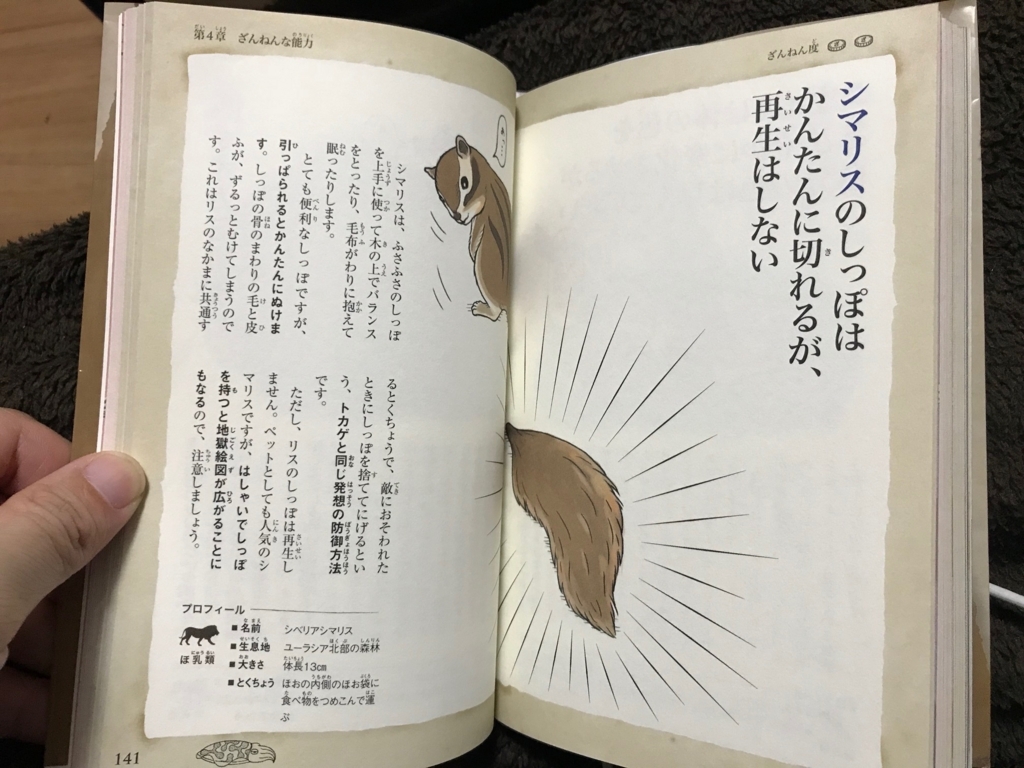 f:id:GK_GK21:20171127225432j:plain f:id:GK_GK21:20171127225432j:plain