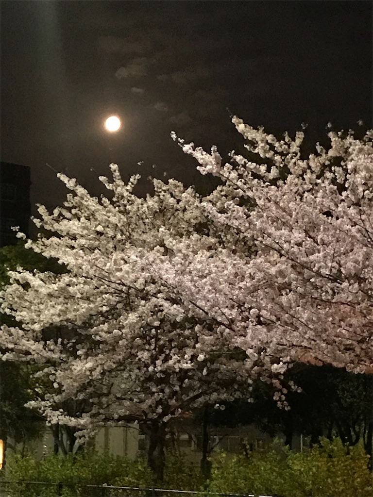 f:id:GK_GK21:20180706045024j:image