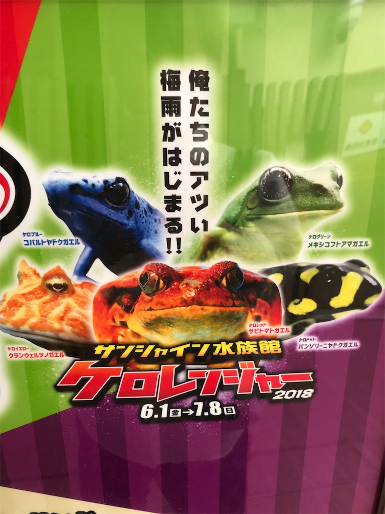 f:id:GK_GK21:20180706045626j:image