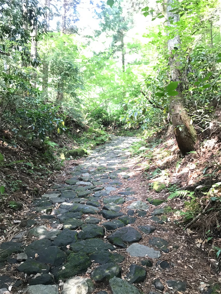 f:id:GK_GK21:20180706045630j:image
