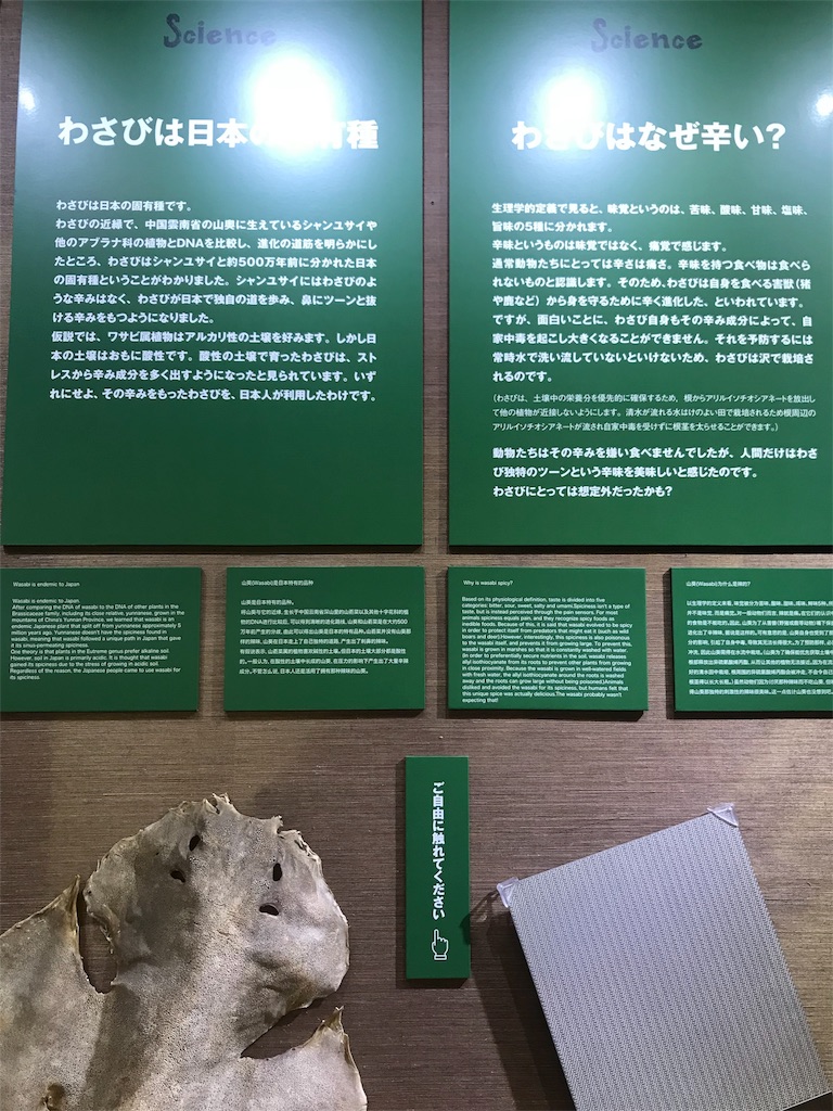 f:id:GK_GK21:20180810225142j:image