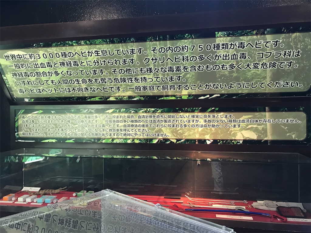 f:id:GK_GK21:20180814183427j:image f:id:GK_GK21:20180814183427j:image