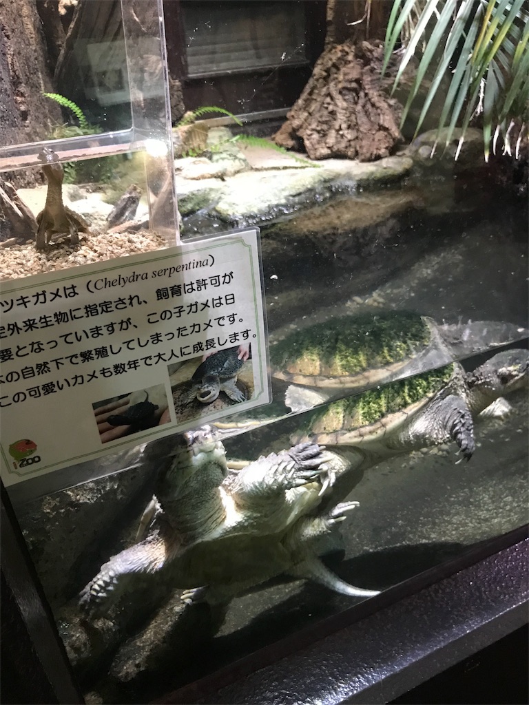 f:id:GK_GK21:20180814183556j:image f:id:GK_GK21:20180814183556j:image