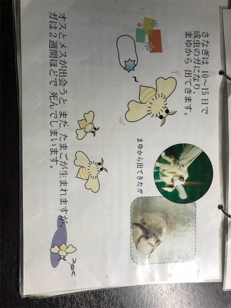 f:id:GK_GK21:20181026183933j:image f:id:GK_GK21:20181026183933j:image