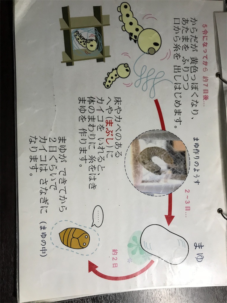 f:id:GK_GK21:20181026184031j:image f:id:GK_GK21:20181026184031j:image