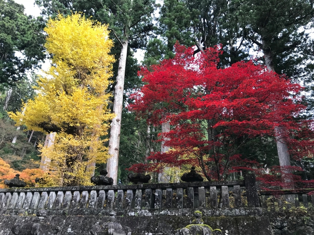 f:id:GK_GK21:20181203183003j:plain