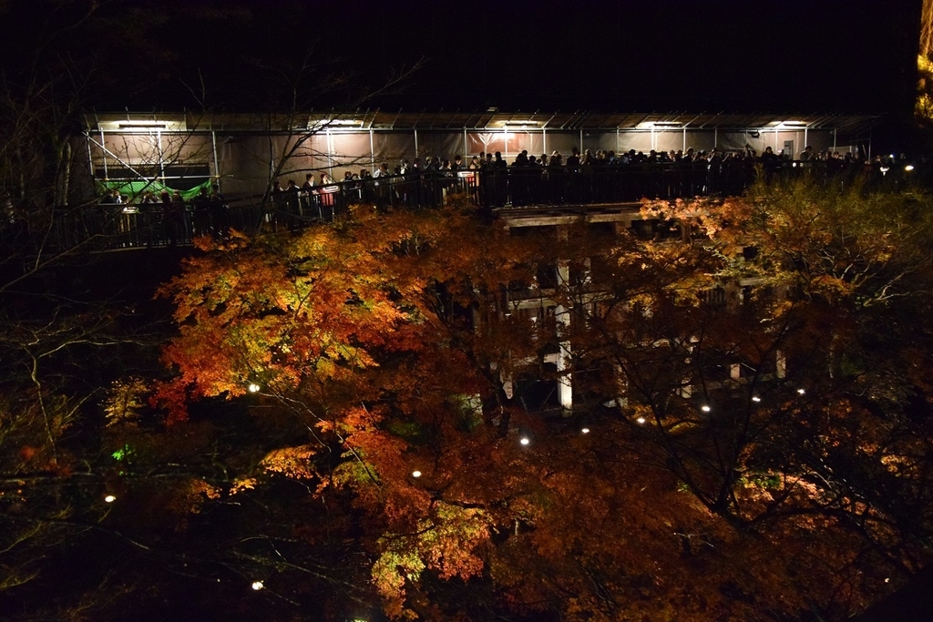 f:id:GK_GK21:20181203183207j:plain