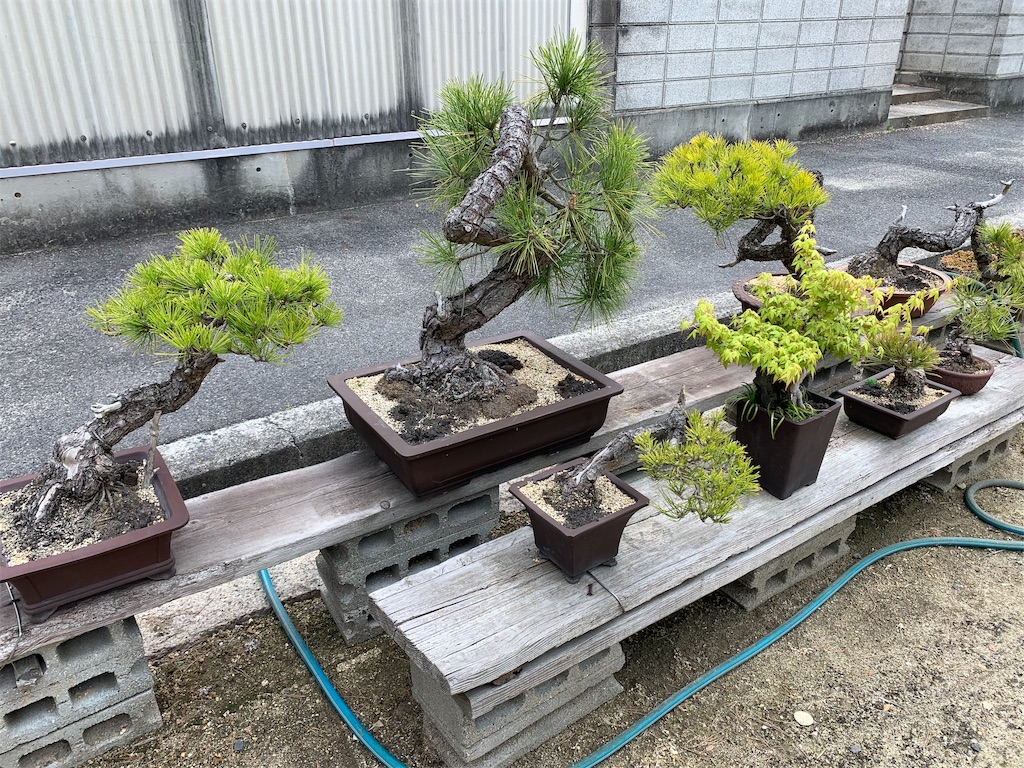 f:id:GK_GK21:20190427081200j:image f:id:GK_GK21:20190427081200j:image