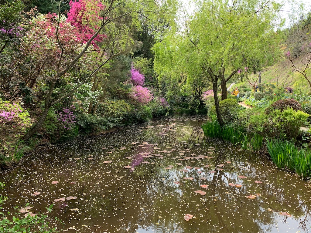 f:id:GK_GK21:20190428105653j:image f:id:GK_GK21:20190428105653j:image
