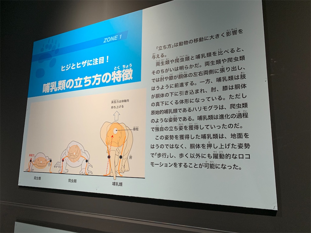 f:id:GK_GK21:20190507121226j:image