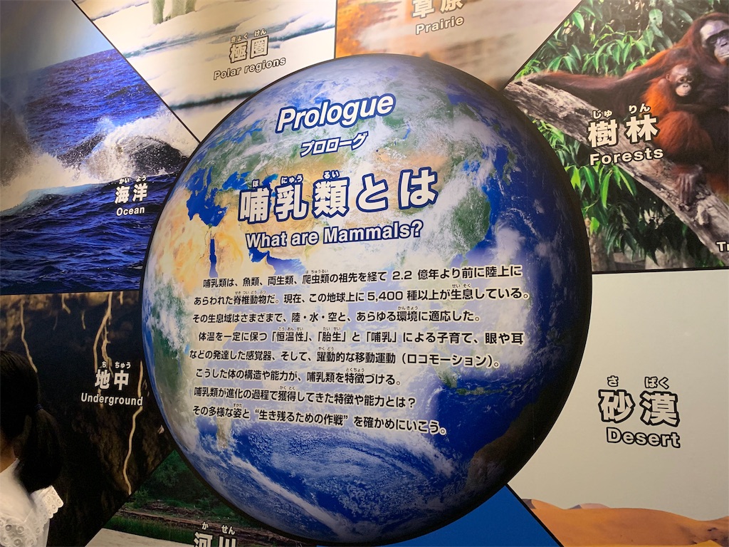 f:id:GK_GK21:20190507121229j:image