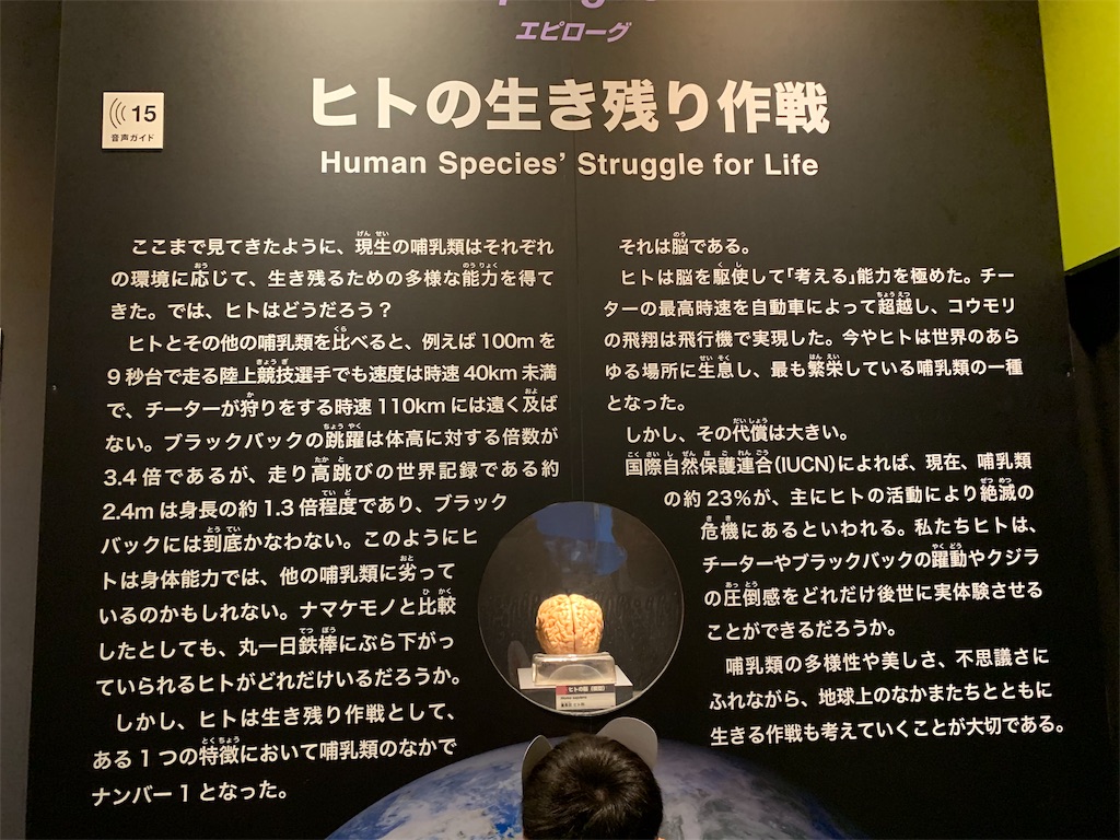 f:id:GK_GK21:20190507121326j:image