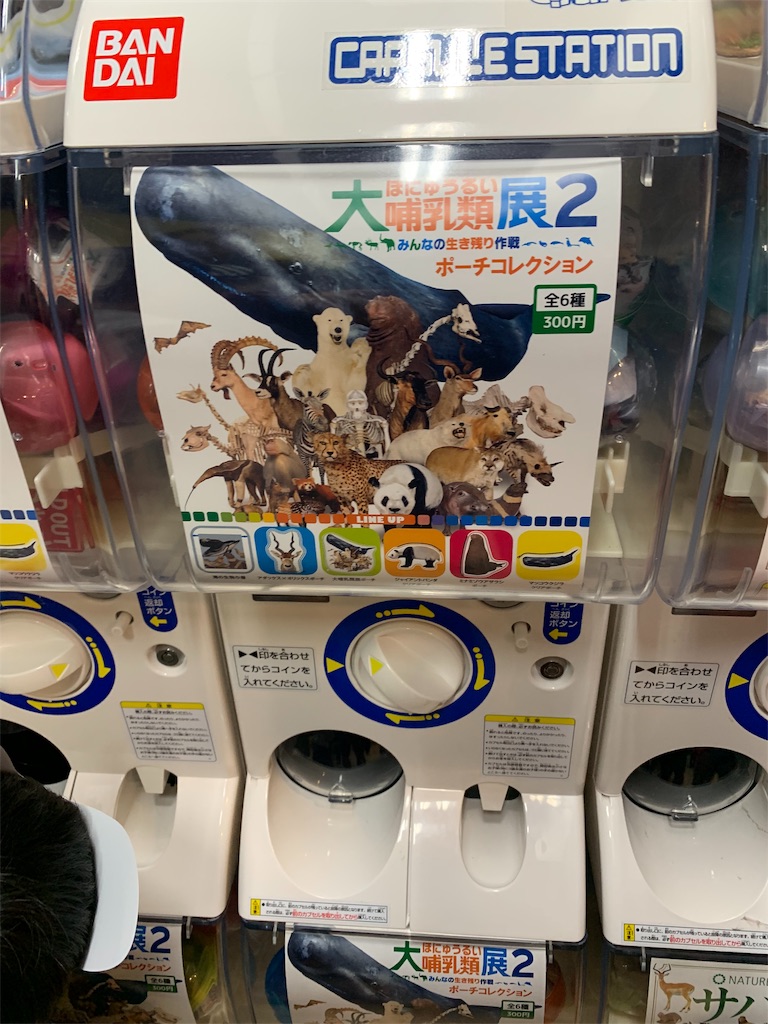 f:id:GK_GK21:20190507121334j:image