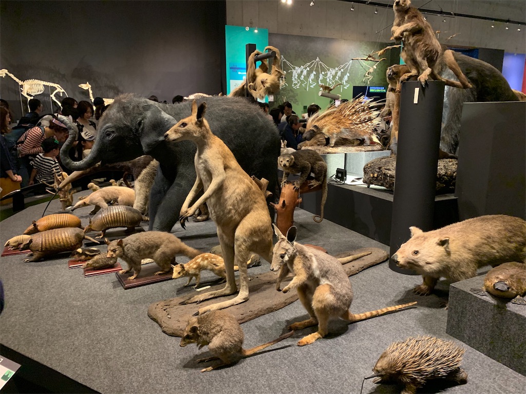 f:id:GK_GK21:20190507121351j:image
